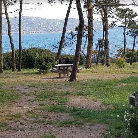 Beautiful In The Center Of